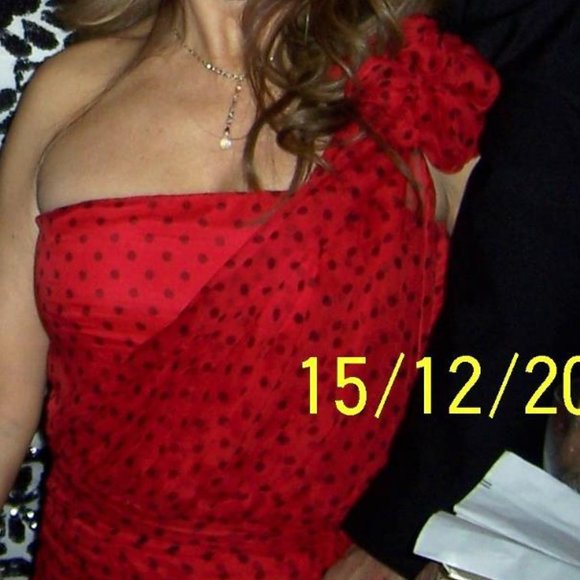 🌹 Silk Red Polka Dot Albert Nipon Evening Dress Pre Owned - Picture 4 of 12